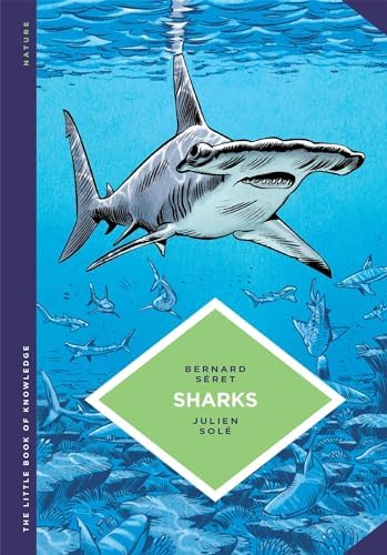 Amazon.com: Album of Sharks (Illustrated Science Albums